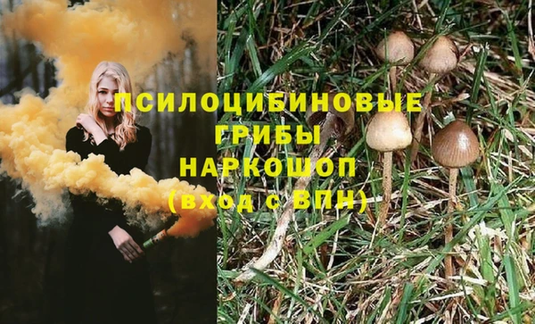а пвп мука Алзамай