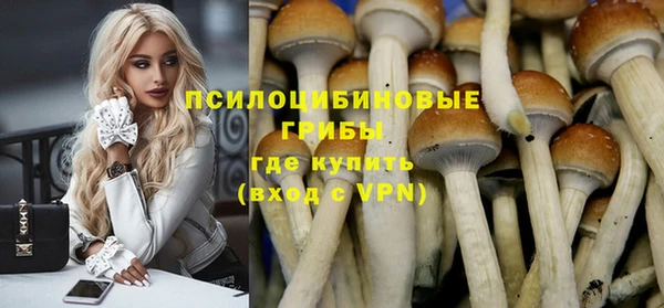 амфетамин Алексеевка