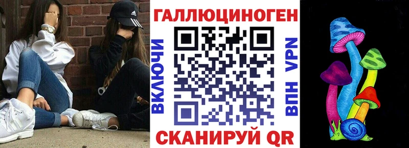 Галлюциногенные грибы Psilocybine cubensis Себеж